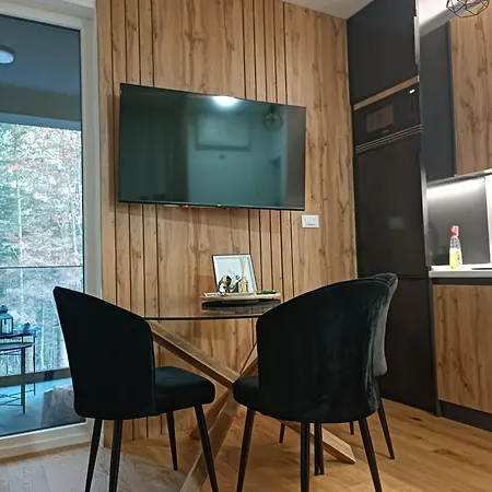 Apartment Oaza